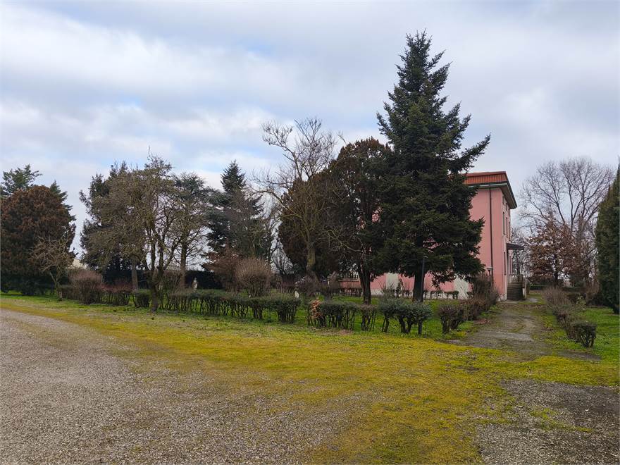 Giardino