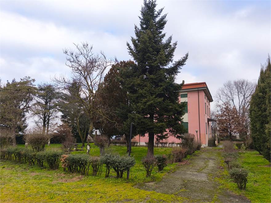 Giardino