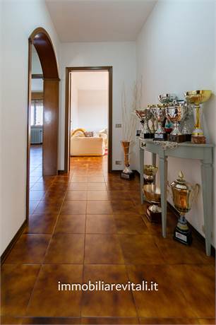 Ingresso
