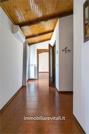 Ingresso