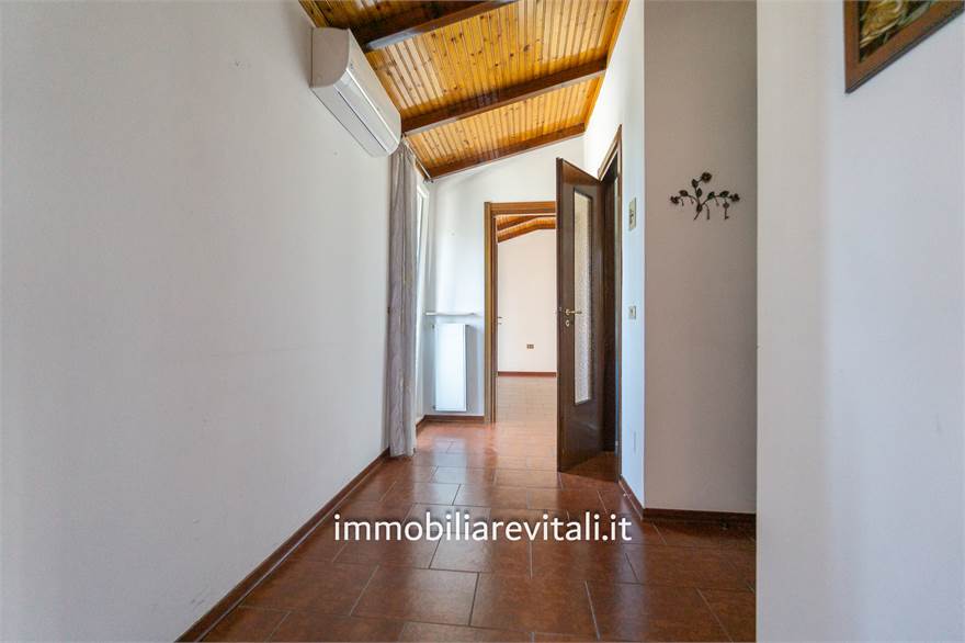 Ingresso